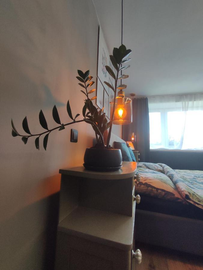Dian Feelhome Banska Bela Екстер'єр фото