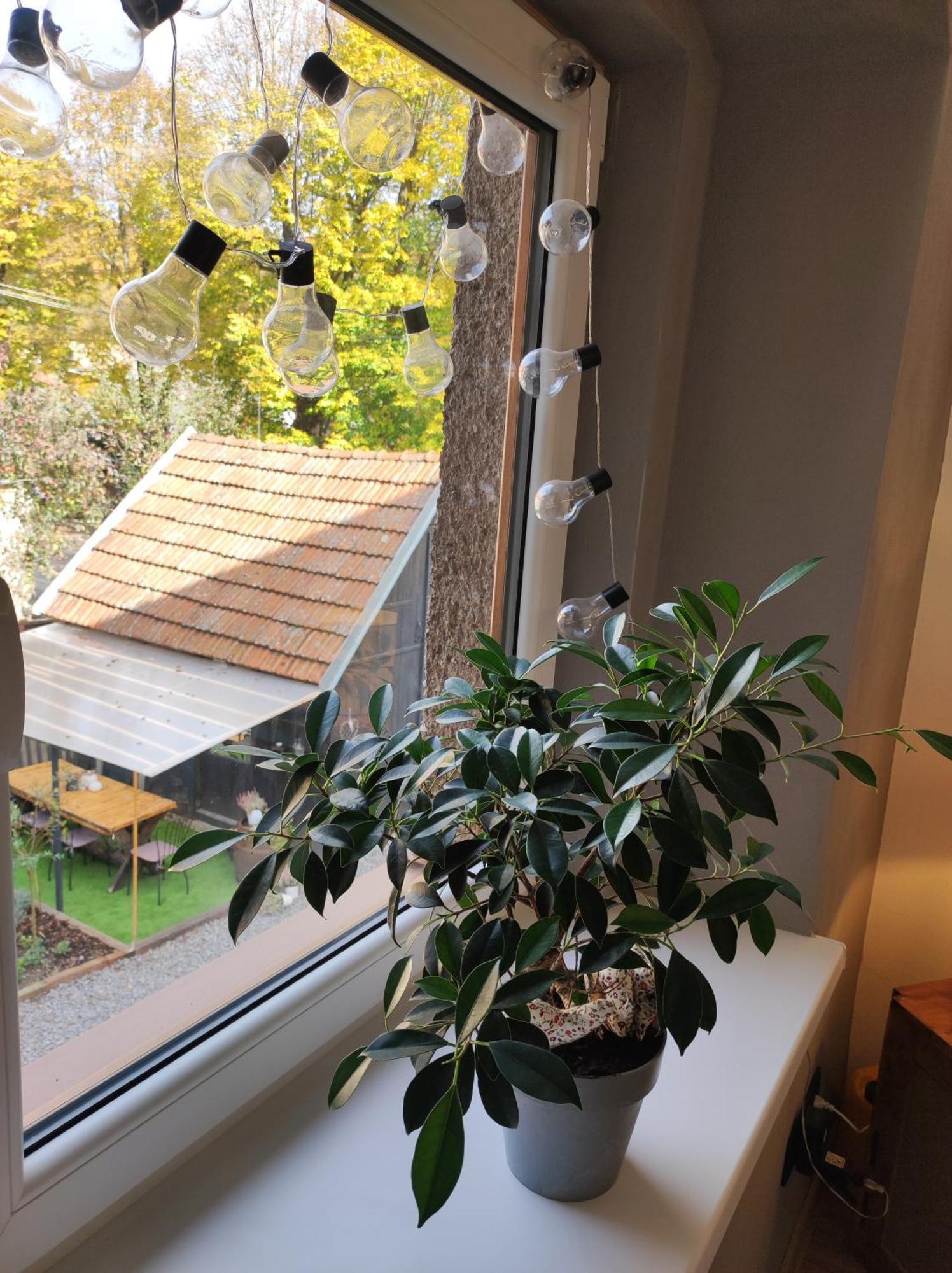 Dian Feelhome Banska Bela Екстер'єр фото